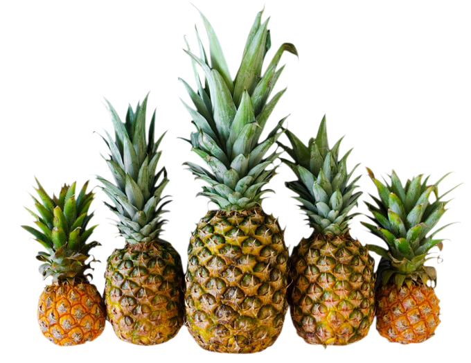 pineapples image, pineapples png, pineapples png image, pineapples transparent png image, pineapples png full hd images download